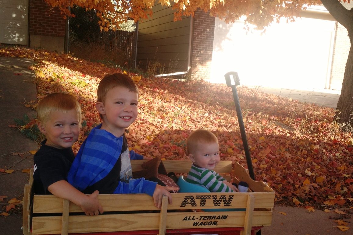 The Moose in Our House